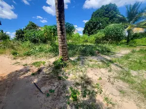 Uzunguni Plot