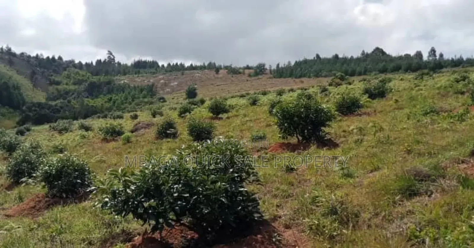 Farm for Sale at Njombe