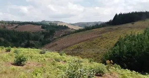 Farm for Sale at Njombe