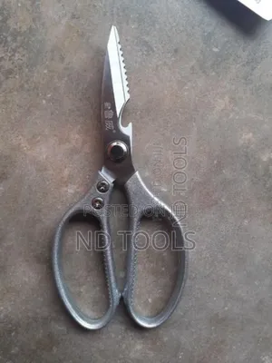 Stainless Steel Scissor