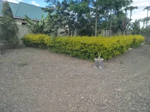 5bdrm Bungalow in Arusha for sale