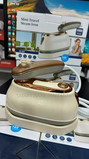 Fast Heat Mini Steamer Wet Dry Garment Iron Steam For Home