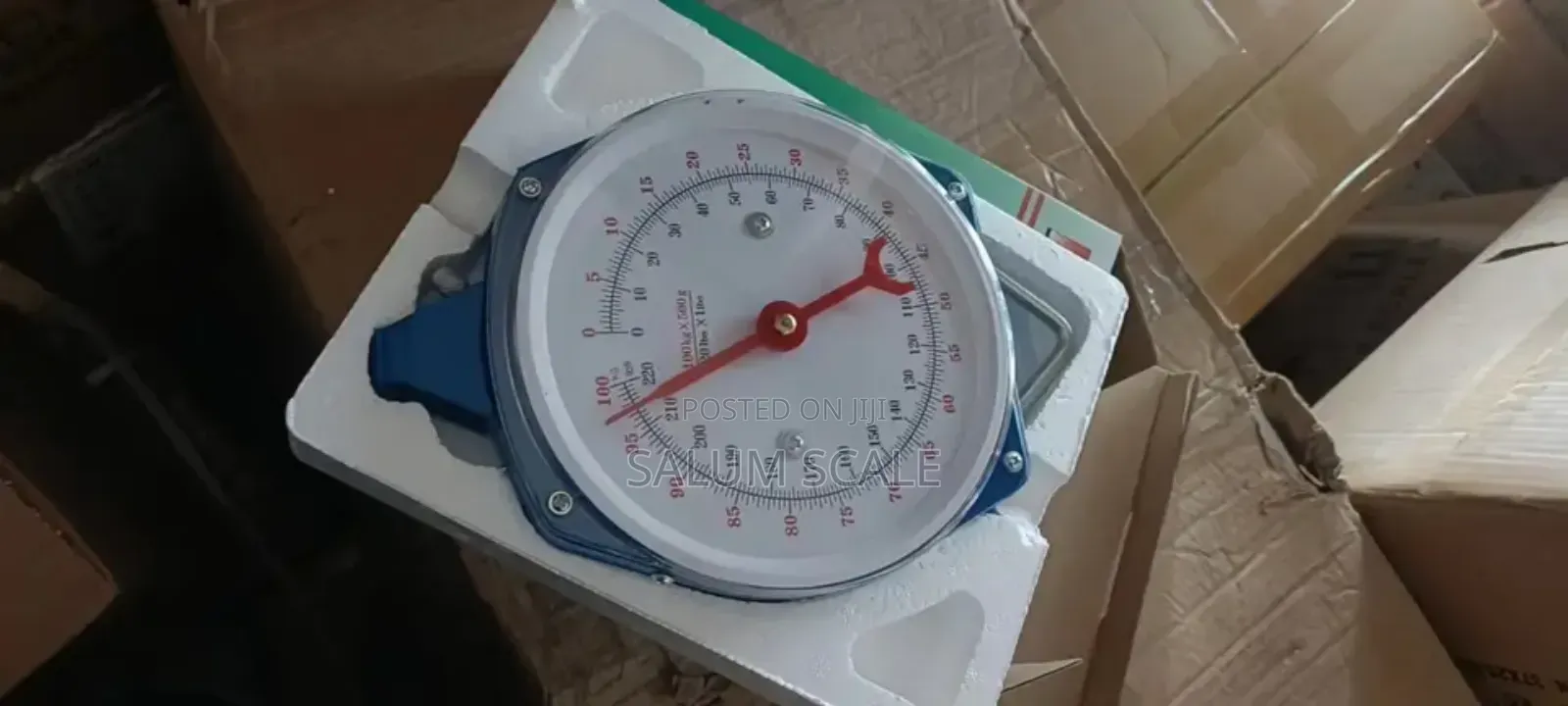 Hanging Scale 100kg