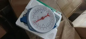 Hanging Scale 100kg