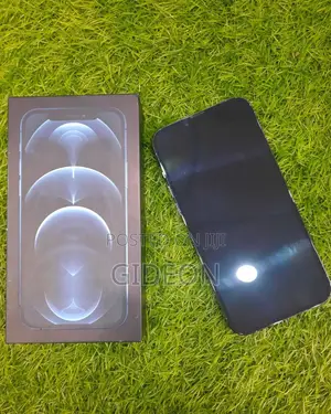New Apple iPhone 12 Pro Max 256 GB Blue