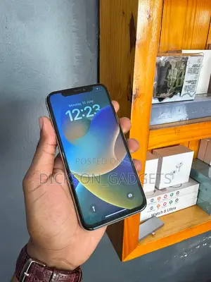 Apple iPhone X 256 GB White