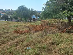 Dakika 10 Kutoka Lami