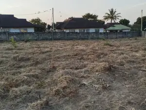 Kiwanja Chenye Fensi
