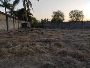 Kiwanja Chenye Fensi