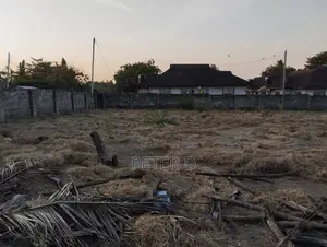 Kiwanja Chenye Fensi