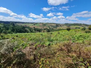 Farm for Sale at Njombe