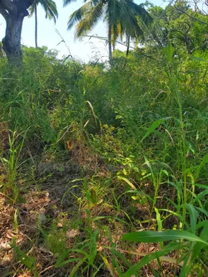 Plot for Sale at Mkuranga , Plot With 25 Acres,
