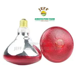 Infrared Heat Bulb for Chicken