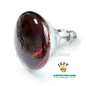 Infrared Heat Bulb for Chicken