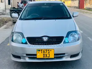 Toyota Allex 2004 Silver