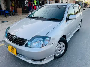 Toyota Allex 2004 Silver