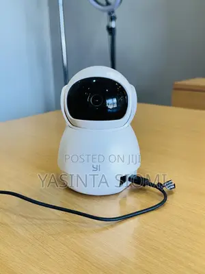 Portable Cameras