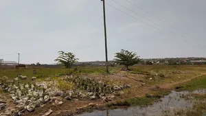 Kiwanja Cha Kujenga Shell