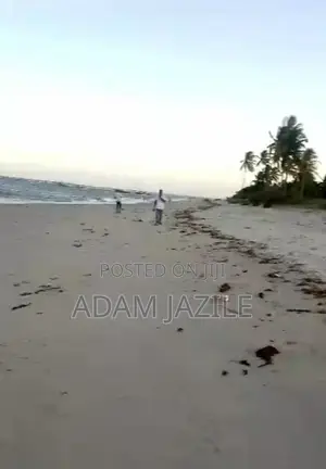 Beach Plots for Sale Mkwaja Pangani Tanga