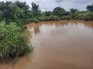 Shamba La Ekari 20 Linauzwa Mwavi Fukayosi