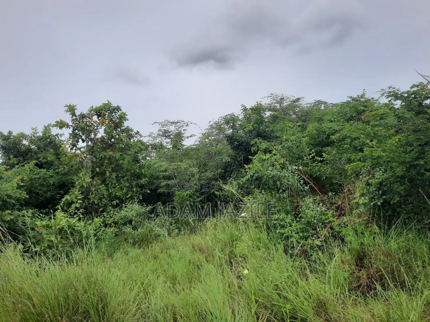Shamba La Ekari 20 Linauzwa Mwavi Fukayosi