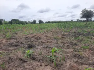 Shamba La Ekari 20 Linauzwa Mwavi Fukayosi