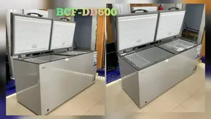 Bruhm 560litres Double Door Chest Freezer