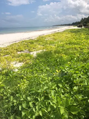 Plot for Sale at Pwani McHangani