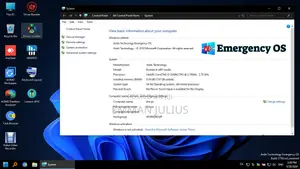 Emergency OS