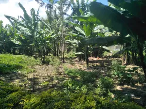 5bdrm Bungalow in Arusha for rent