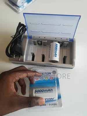 D-Size Rechargeable Battery