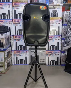 Richsound Rechargeable Speaker With 2 Wireless Microphone