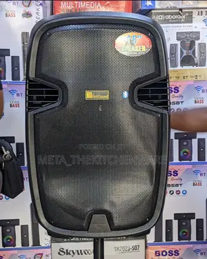 Richsound Rechargeable Speaker With 2 Wireless Microphone