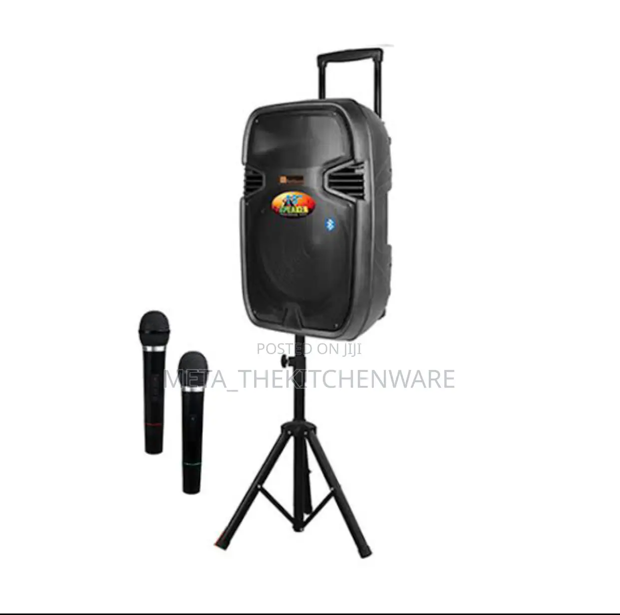 Richsound Rechargeable Speaker With 2 Wireless Microphone