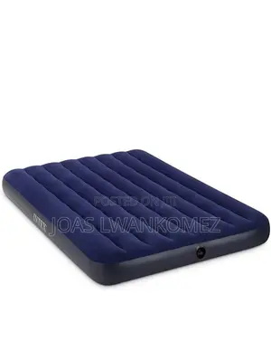 Classic Airbed (2 People,10 Inch).