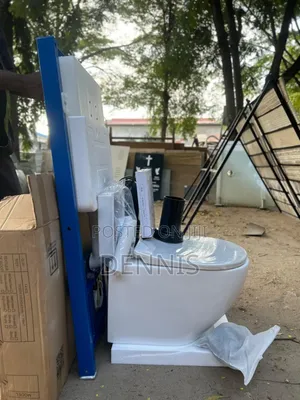 Wall Hung Toilet