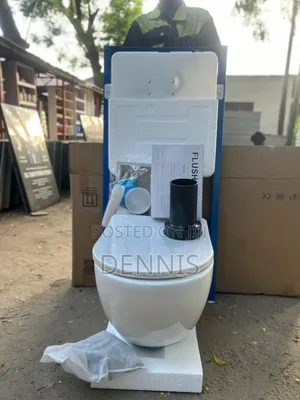 Wall Hung Toilet