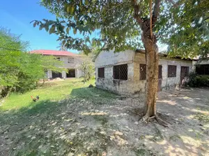 Kiwanja Kizur Chenye Mabanda