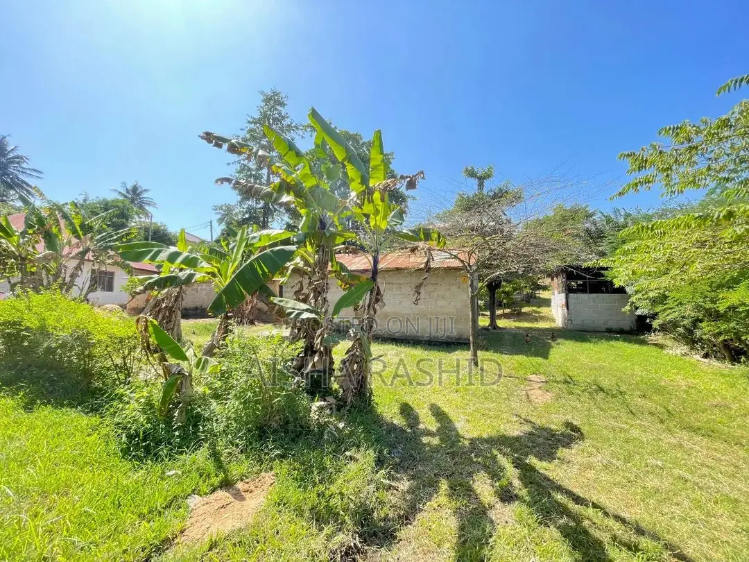 Kiwanja Kizur Chenye Mabanda