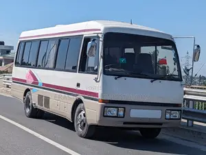 Mitsubishi Fuso Rosa 2000 Beige