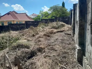 Plot Inauzwa Ipo Ndani Ya Fensi Malamba Mawili Mbezi