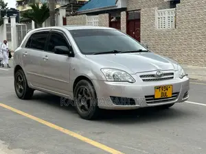 Toyota Allex 2004 Silver