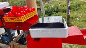 Incubator Mayai 60 Available 2024