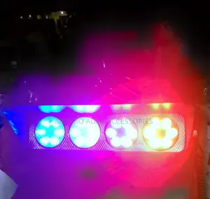 Police/Caravan Light