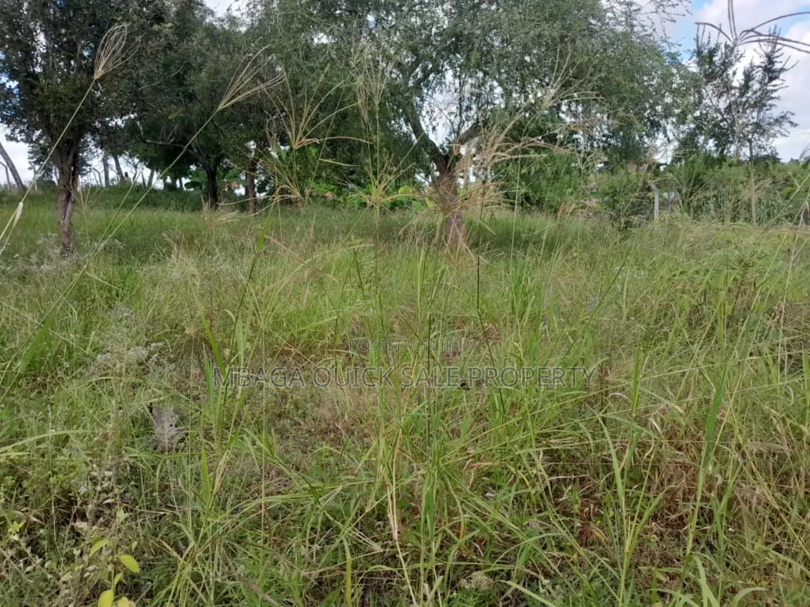 6bdrm House in Africana, Mbezi Beach for rent
