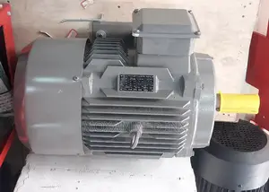 Electric Motor 30hp