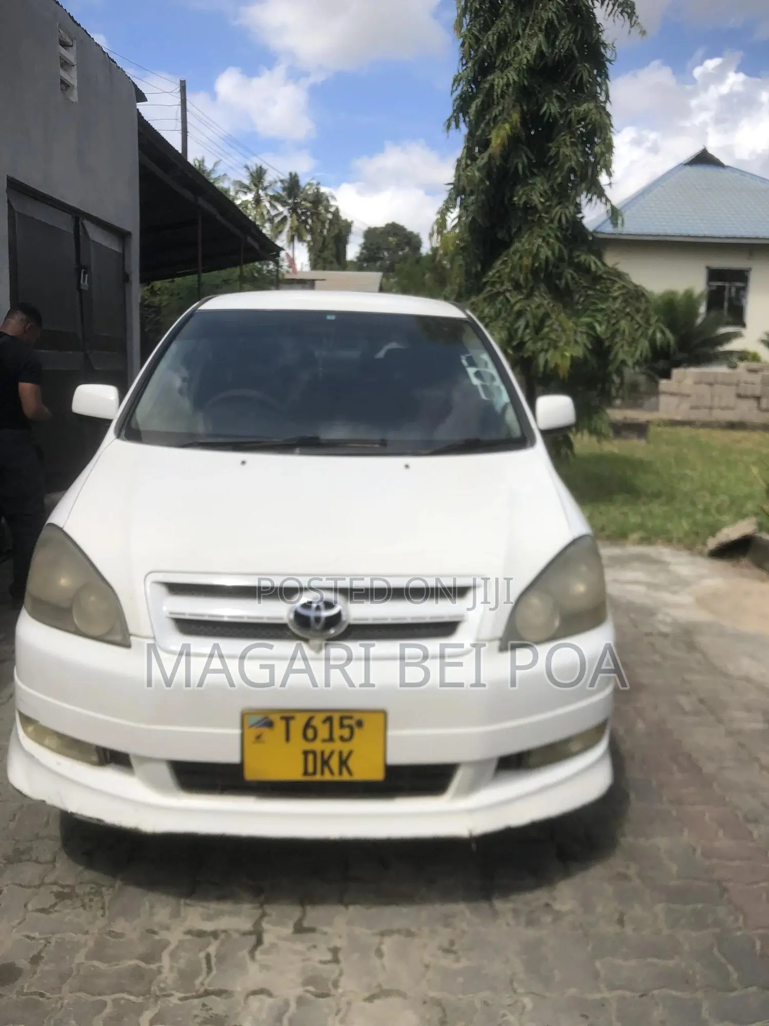 Toyota Ipsum 2001 White
