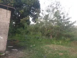 Commercial Plot for Sale at Mapinga Magamoyo