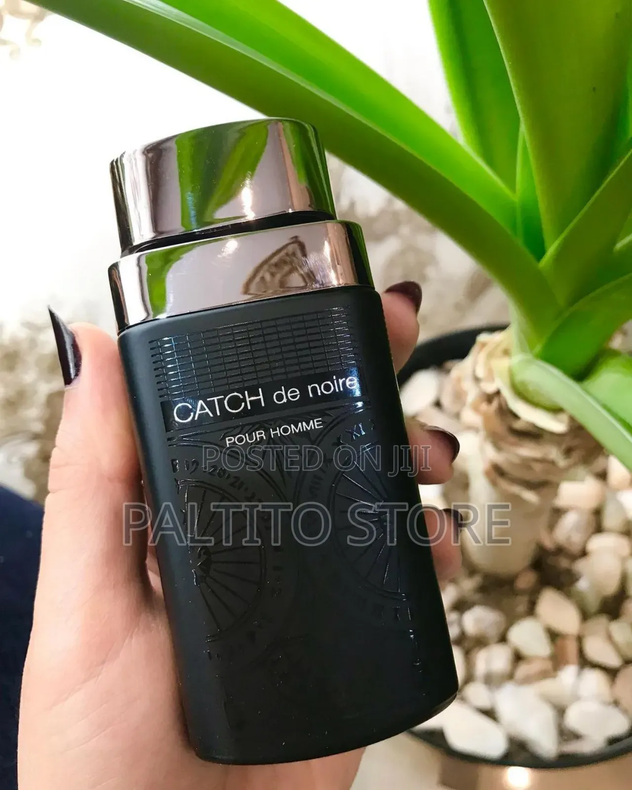 Catch De Noire Perfume