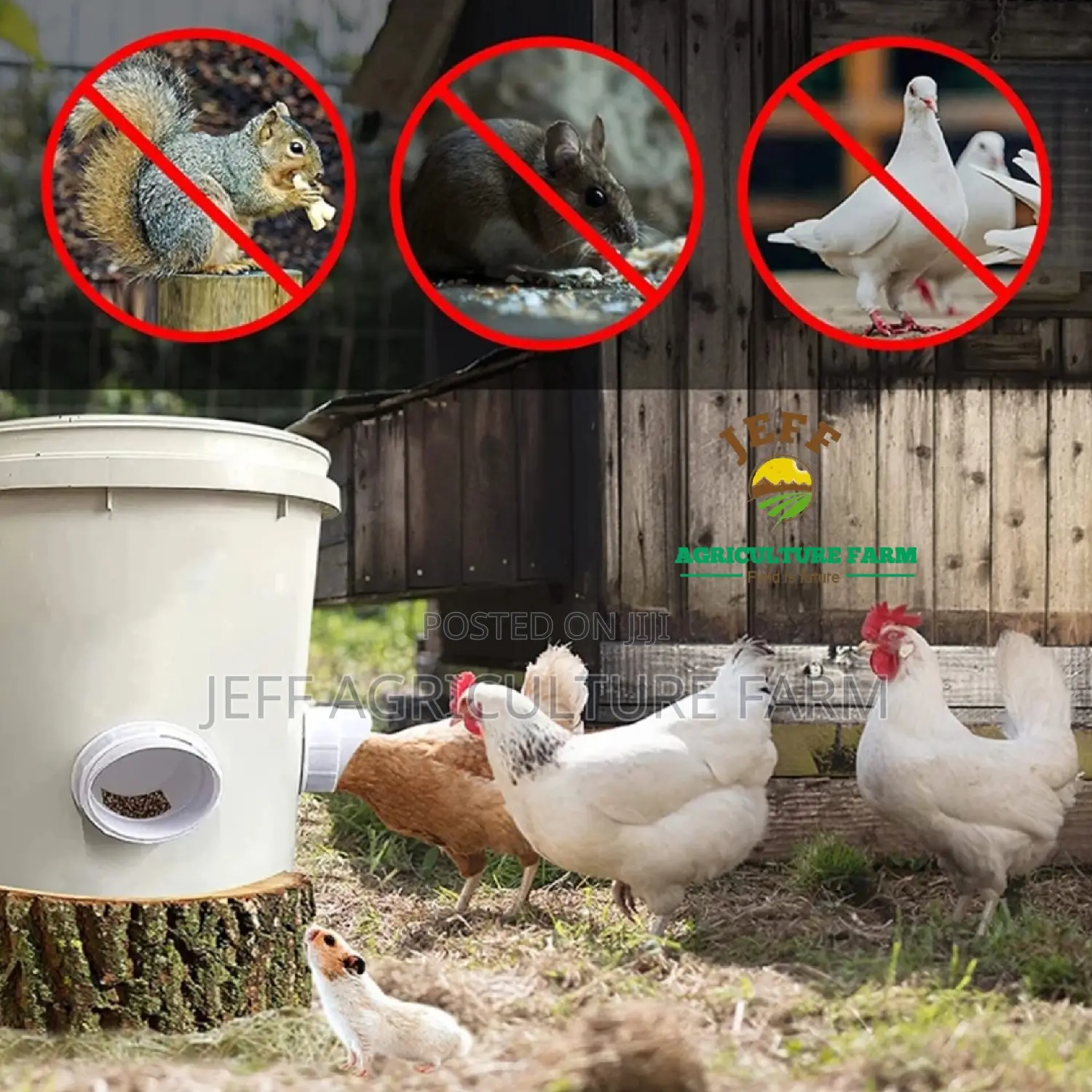 Feeder Za Chakula Kwa Mifugo Yote